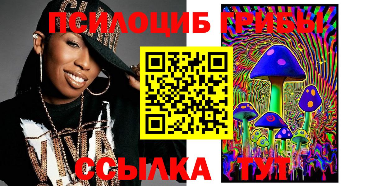 где купить наркотик  Псилоцибиновые грибы мицелий  Вход с VPN  Дивногорск  Псилоцибиновые грибы Cubensis 