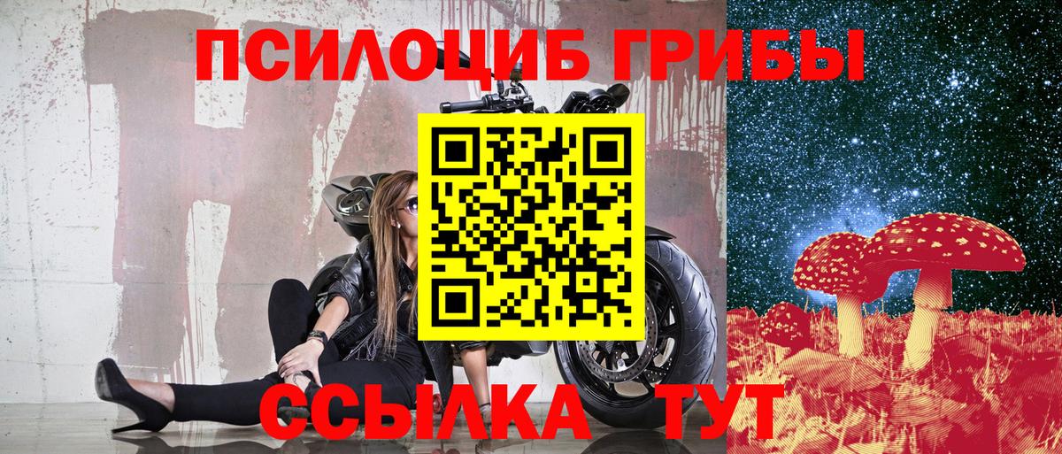 Псилоцибиновые грибы Cubensis Дивногорск